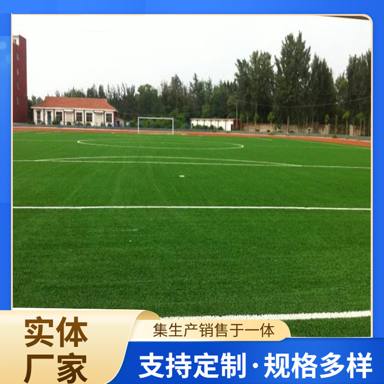 南宁市硅PU人造草坪 - 厂家